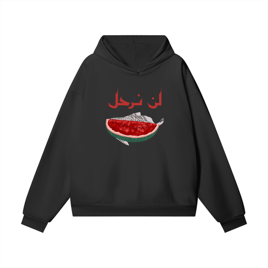 We won't leave Palestine Watermelon Kuffiya Premium Hoodie Front only