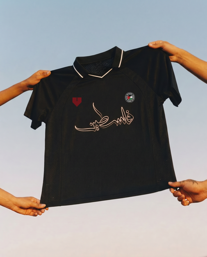 Palestine Striped V-Neck Soccer Jersey